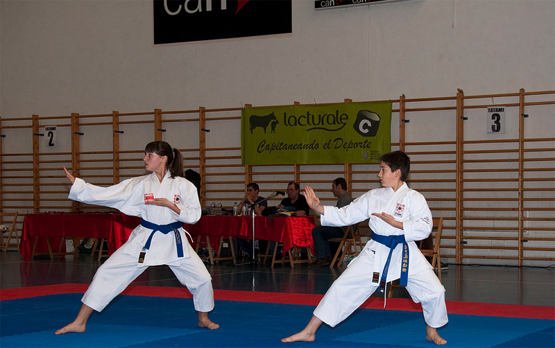Casi 300 karatekas en el Campeonato de Promoci&oacute;n Alev&iacute;n, Infantil y Juvenil.